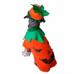 Ropa Disfraz Calabaza Perro Halloween Para Mascota Talla S_0