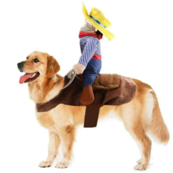 Disfraz Para Perro Jinete Vaquero Montable Halloween Talla S_0