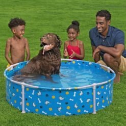 Alberca Piscina Juego Para Mascotas H2O GO Pets Color Azul_3